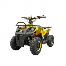 Электроквадроцикл GreenCamel Гоби K40